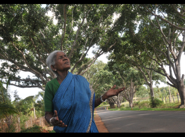 thimmakkaaa